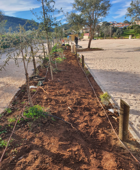 Instalação de relva e rega automática