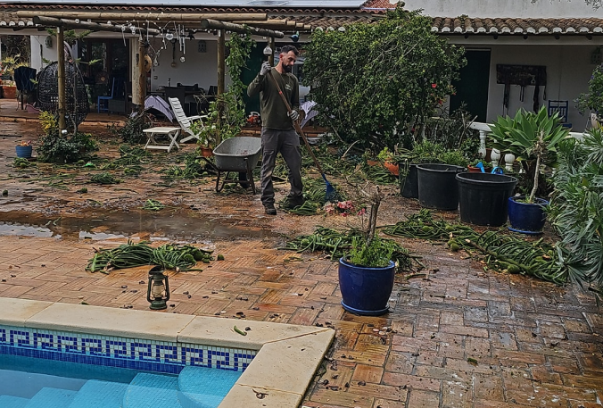 Execução, rega e plantio profissional