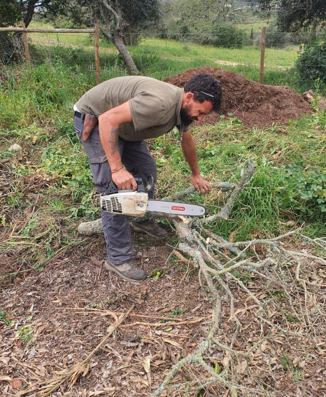 Limpeza e destroçamento de terreno
