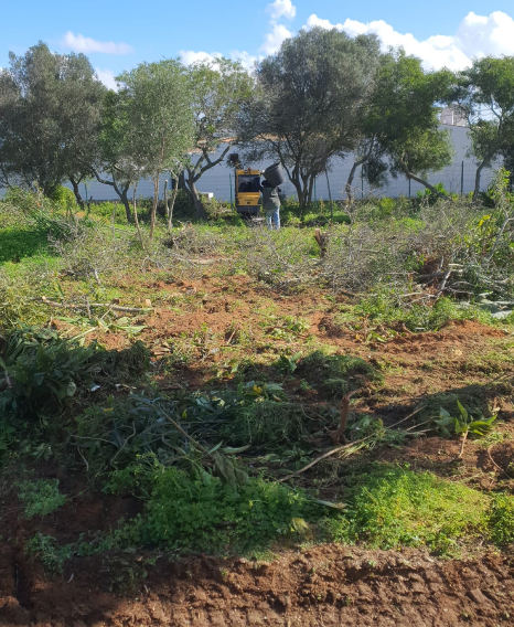 Limpeza e destroçamento de terreno