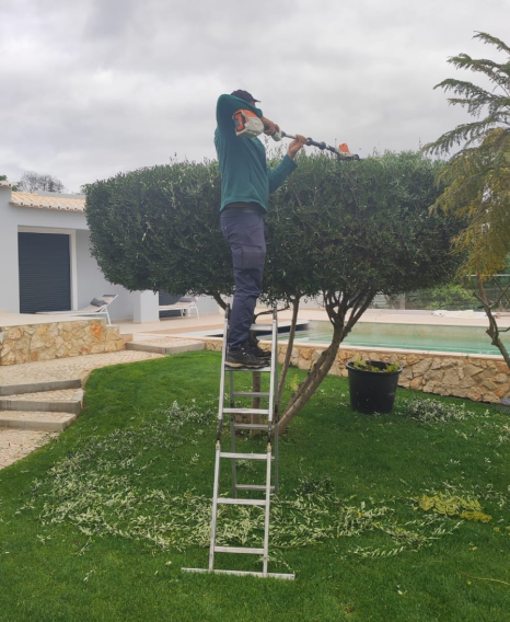 Manutenção — corte e poda